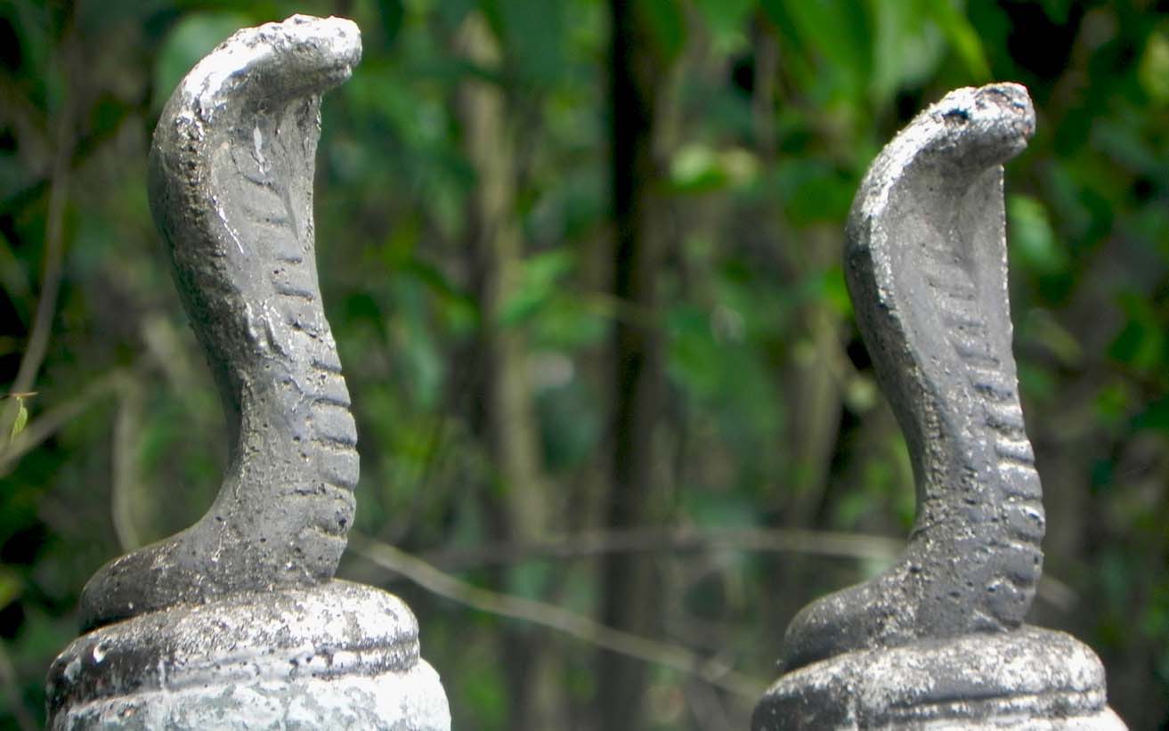 Mannarasala temple snake idol