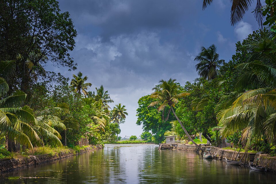 Serene backwaters of Alleppey (Alappuzha), Kerala — the labyrinthine network of saline and brackish waterways that forms the essential processing environment for Alleppey Coir, whose distinctive golden-yellow colour, pliability, and natural rot-resistance can only be achieved through the six-to-ten-month retting process in these specific waters, a geographical specificity recognised by a WTO Geographical Indication tag in 2007