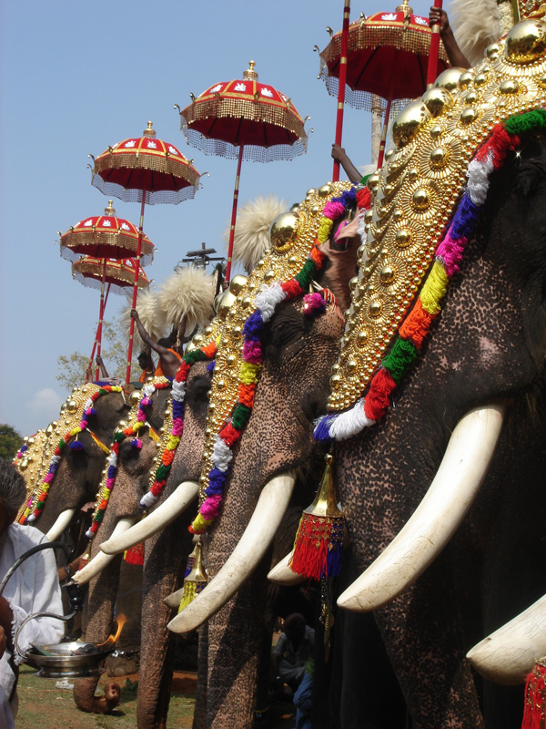 Thrissur Pooram,